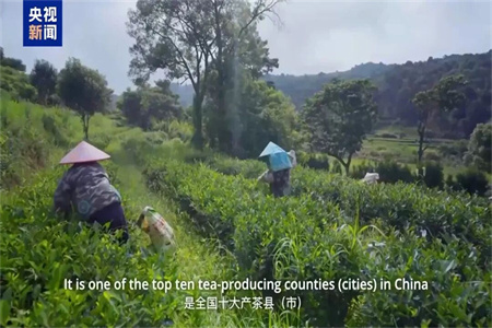 中国新增3项，总量仍居世界首位！